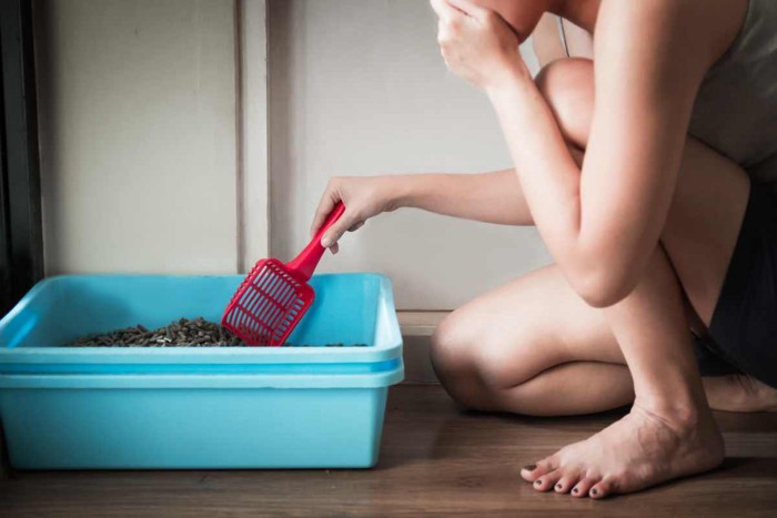 猫のトイレの臭いが気になる飼い主さん