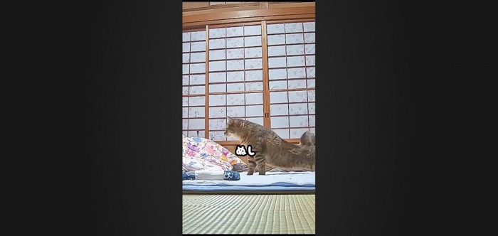 ぬし
