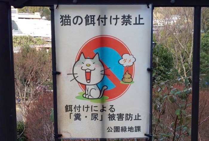 猫の看板