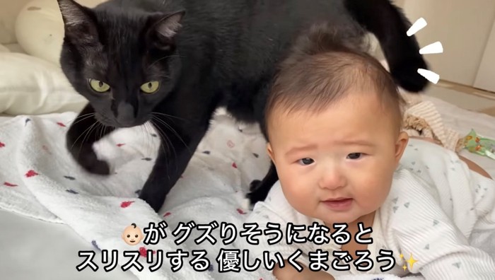 黒猫