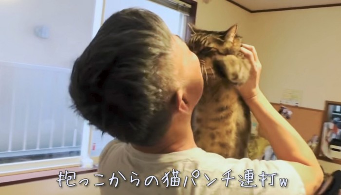 わざと猫パンチを受ける飼い主さん