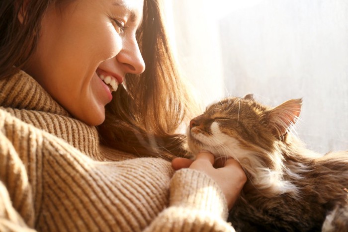 飼い主さんに撫でられて幸せそうな猫