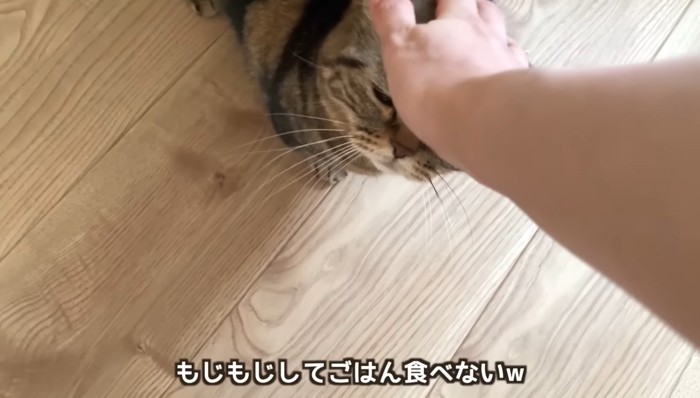 なでなで