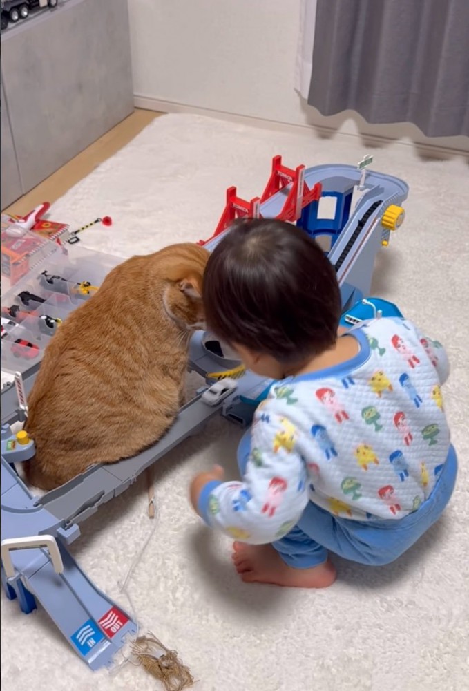 車を走らせる男の子