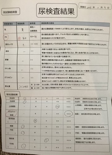 診断結果の写真(治療前)