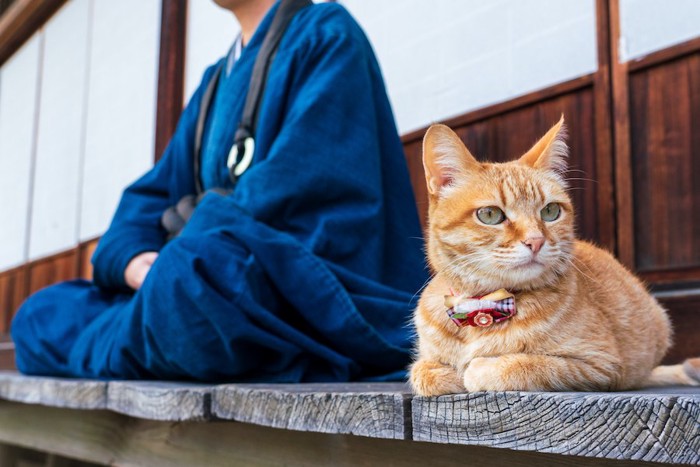 縁側で胡坐をかく人と隣で寛ぐ猫