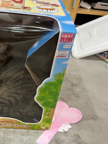 おもちゃの箱の中に見える猫の姿の一部