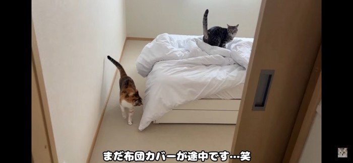 模様替え