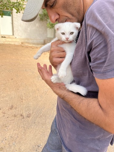 抱っこされる子猫