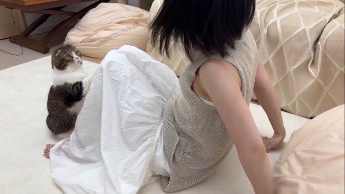 タッチ