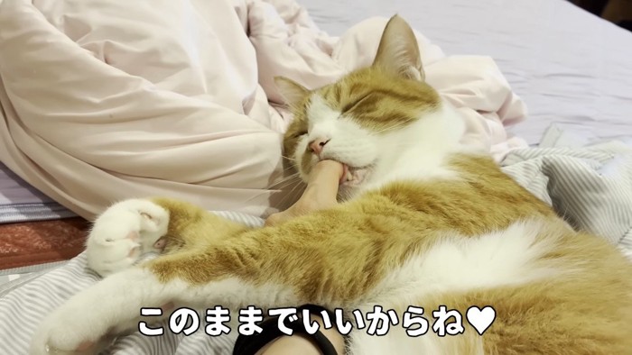 このままでいいからね♡