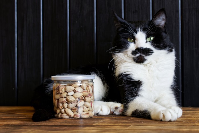 蓋つきの瓶に詰められたナッツとそばで伏せる猫