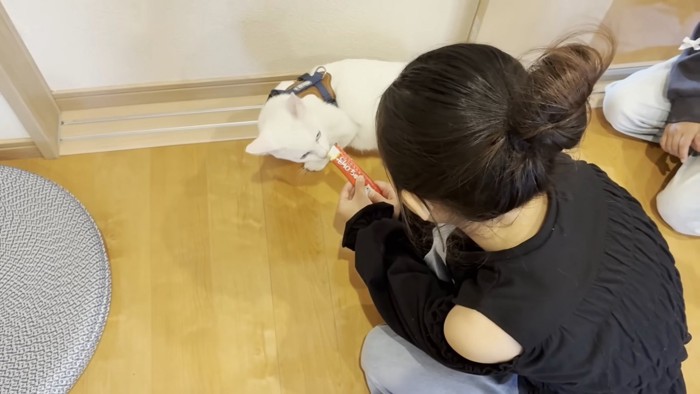 おやつを食べる猫