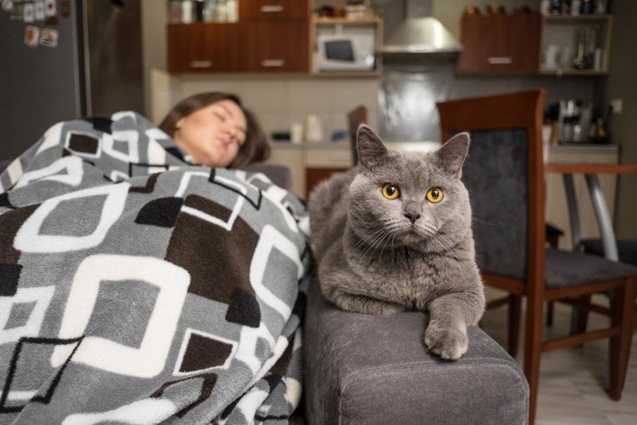 眠る女性と猫