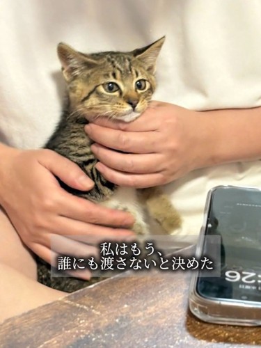 抱っこされる子猫