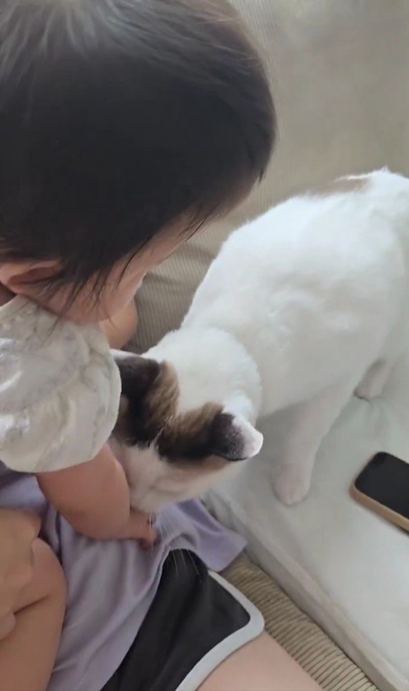 赤ちゃんと猫