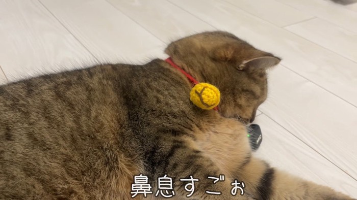 鼻息すごぉ