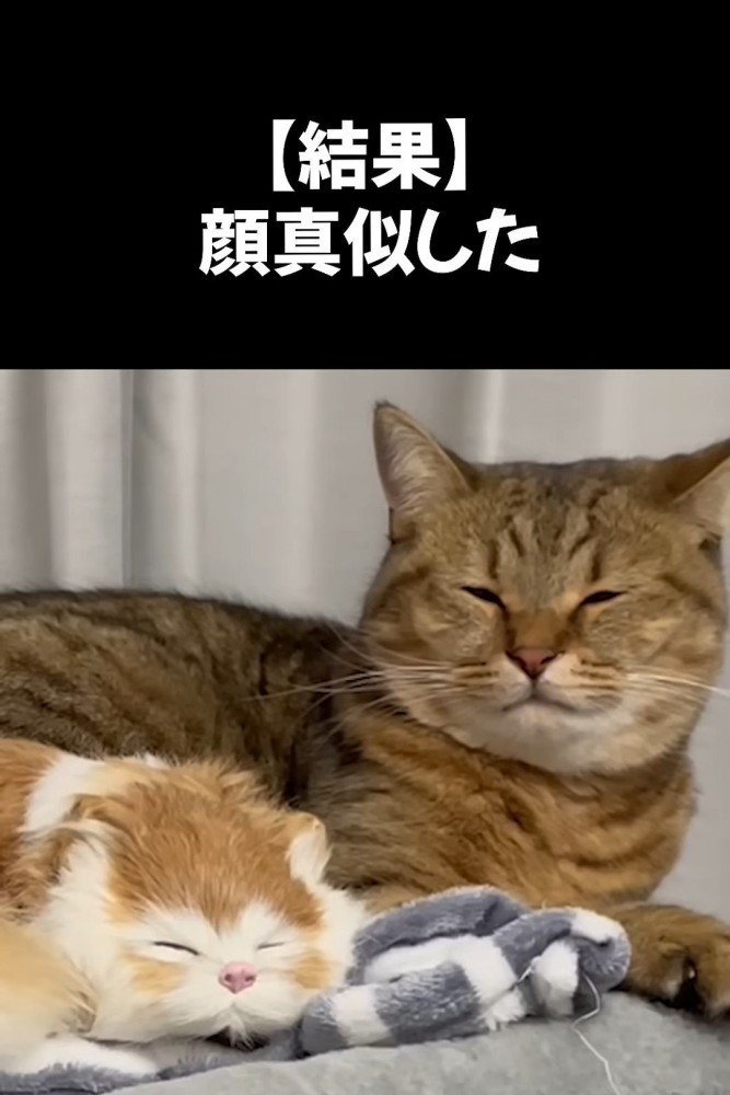 猫の置物と寄り添う猫