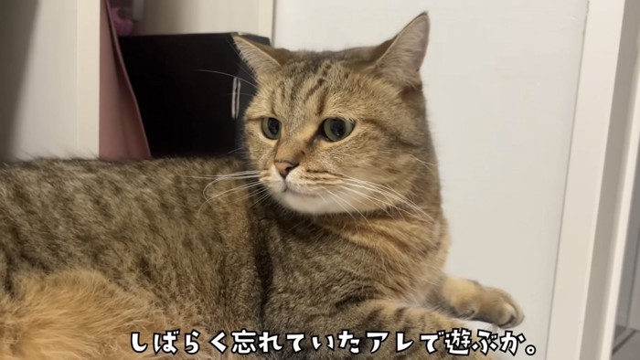 「しばらく忘れていた...」のテロップ写真
