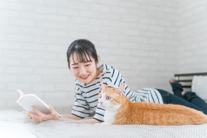 ベッドで寝そべる猫と飼い主さん