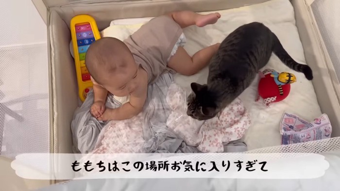 目を合わせるふたり