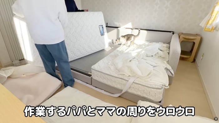 テロップ「作業する～」