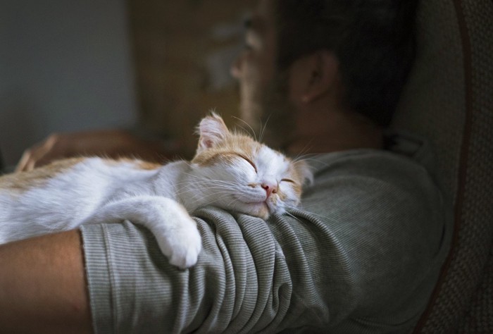 猫をだっこする男性