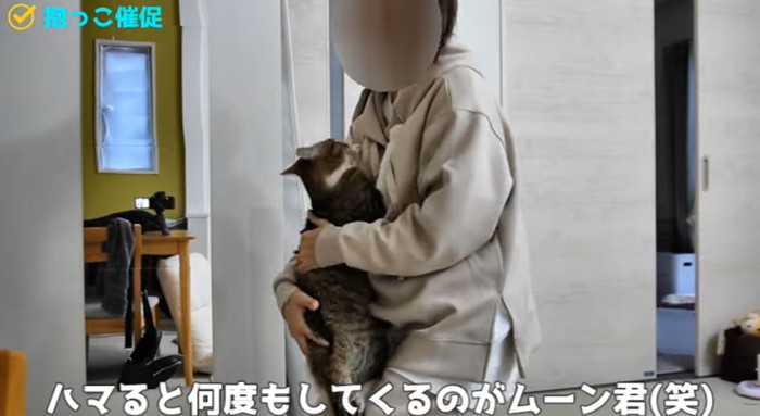 抱っこされる猫