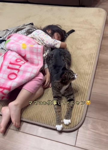 猫を抱えて寝ている女の子