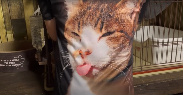 猫のTシャツを着たお父さん