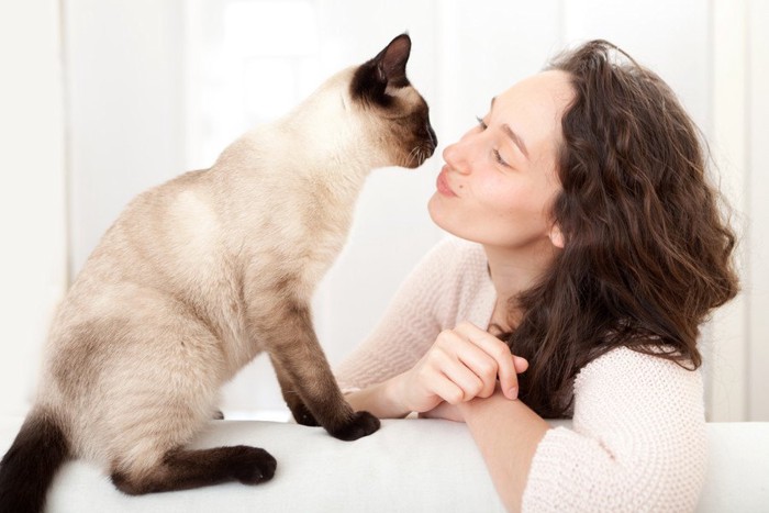 女性とシャム猫