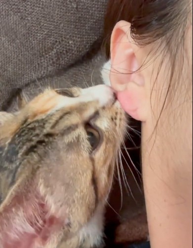 赤くなる耳たぶ