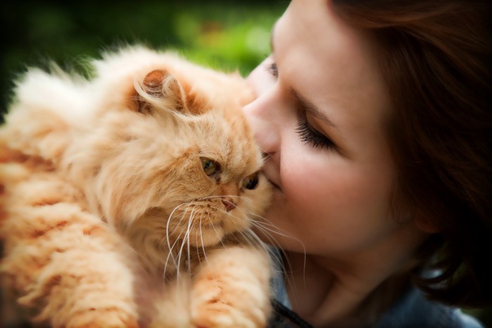 人間に甘える猫