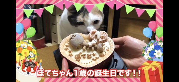 誕生日ケーキ