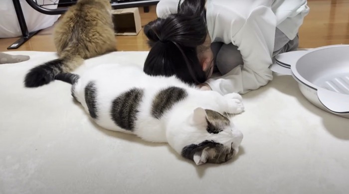 猫吸いする女性2