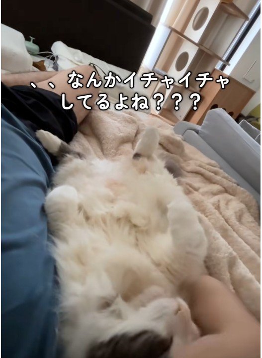 寝転んでいる人と猫