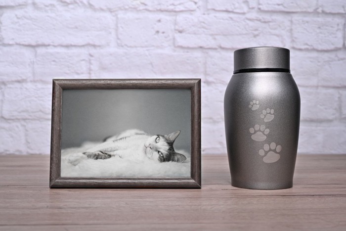 猫の遺影と骨壺