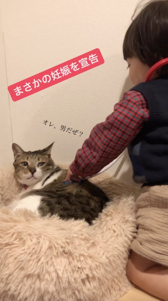 猫におもちゃを当てる子供