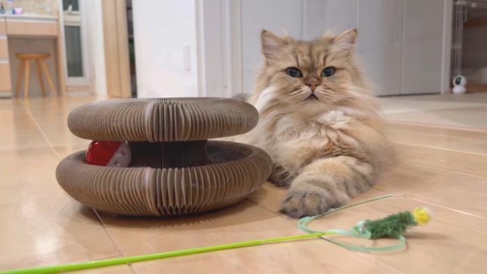 オモチャとリソラちゃん