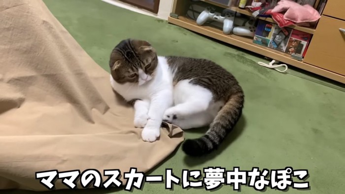 寝転がって後ろ足で布を蹴る猫