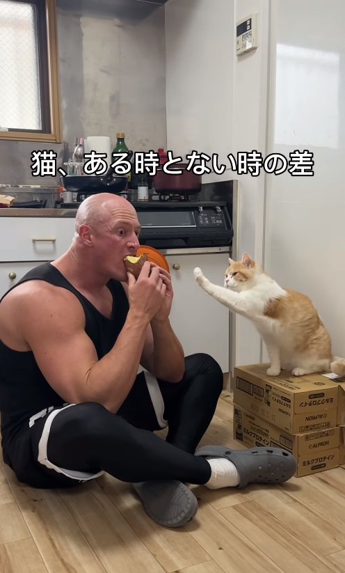 焼き芋を食べる人と前脚を伸ばす猫