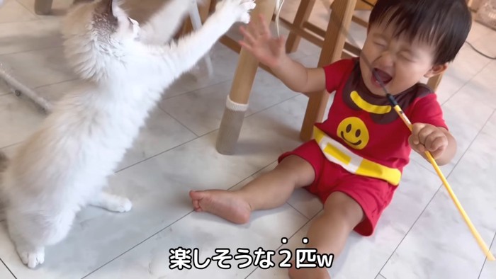 楽しそうな2匹