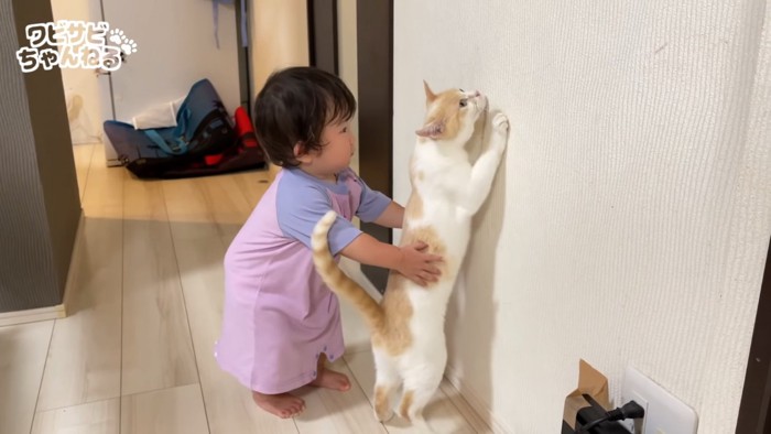 立つ赤ちゃんと猫