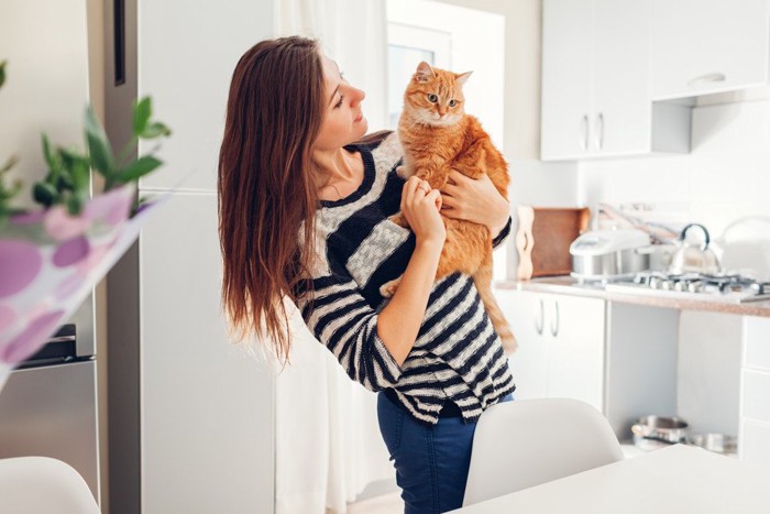 女性に抱っこされる猫