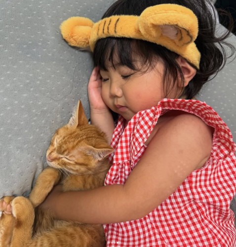 子供と添い寝する子猫