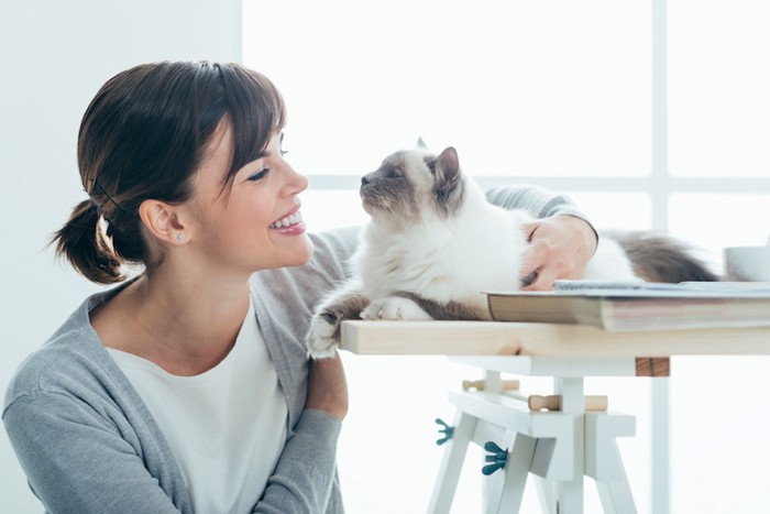 女性と見つめ合う猫