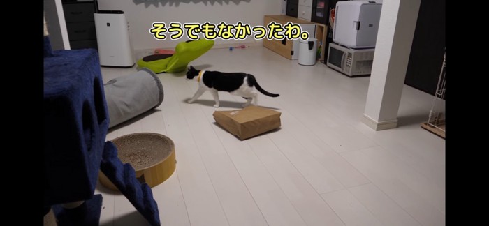 本当だった