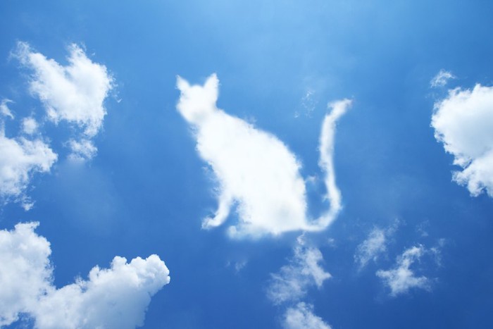 猫の形をした雲