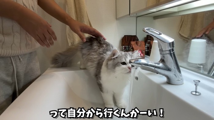 自分から行くんかーい！