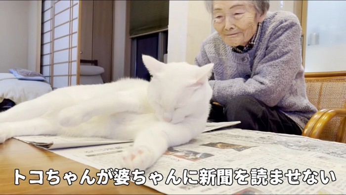 新聞の上に寝そべる猫を笑顔で見つめる老人